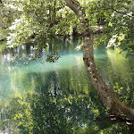 Photo n° 2 de l'avis de Lucie.a fait le 03/08/2021 à 20:44 pour Les fontenils ( les eaux bleues ) à Tavers