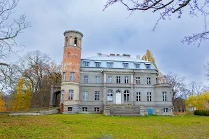 Pałac w Dłusku image