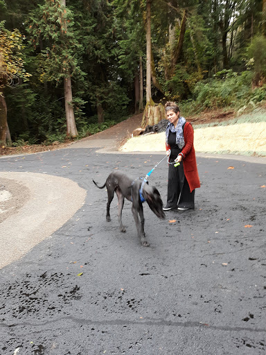 Golf Club «Meadowmeer Golf & Country Club», reviews and photos, 8530 Renny Ln NE, Bainbridge Island, WA 98110, USA