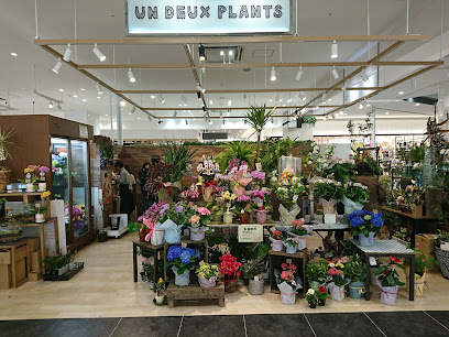 UN DEUX PLANTS イオンモール広島府中店