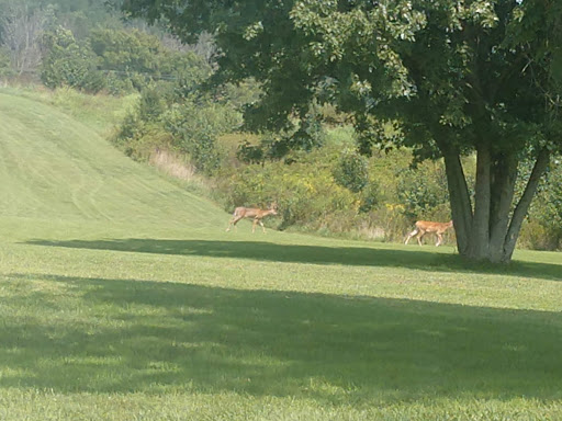 Public Golf Course «Longview Golf Course», reviews and photos, 3243 Frankfort Pike, Georgetown, KY 40324, USA
