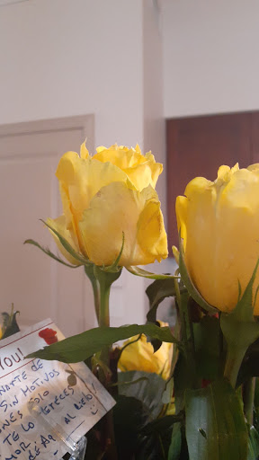 Florist «Amazon Flowers», reviews and photos, 6730 SW 20th Ct, Miramar, FL 33023, USA