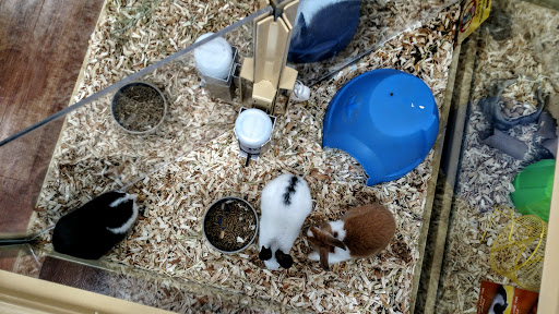 Pet Supply Store «Pet Supermarket», reviews and photos, 11160 Panama City Beach Pkwy #402, Panama City Beach, FL 32407, USA