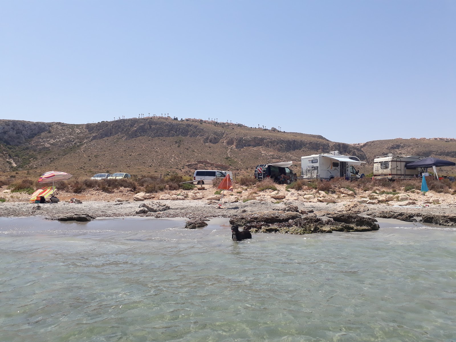 Foto af Santa Pola dog beach beliggende i naturområde