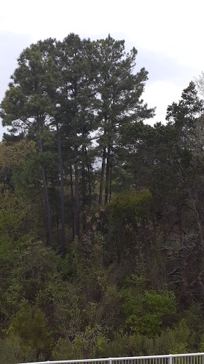 Water Park «Waterpark at the Villages», reviews and photos, 18270 Singing Wood Ln, Flint, TX 75762, USA