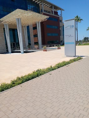 Cid Rabat