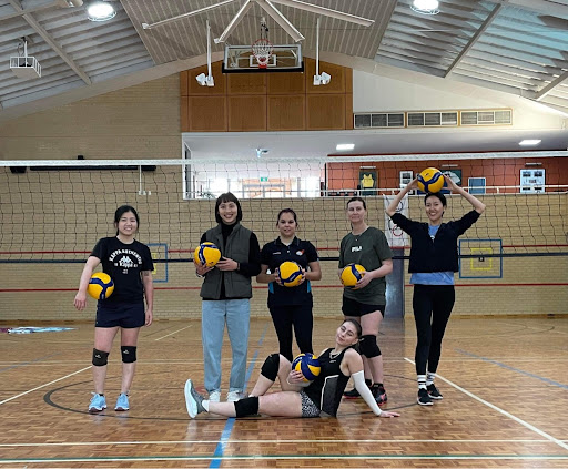 Ace Volleyball Academy
