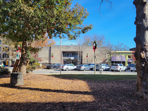Book Store «Little Shop of Stories», reviews and photos, 133 E Court Square # A, Decatur, GA 30030, USA