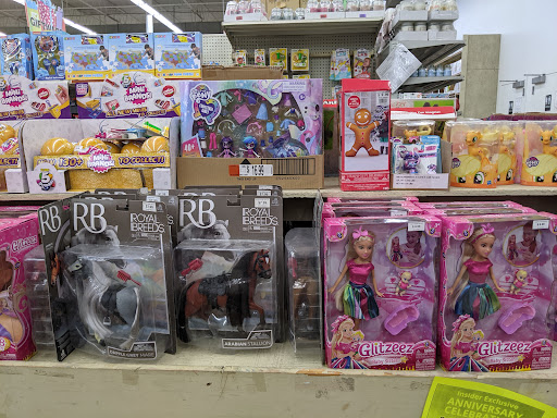 Discount Store «Ocean State Job Lot», reviews and photos, 180 N Main St, New City, NY 10956, USA