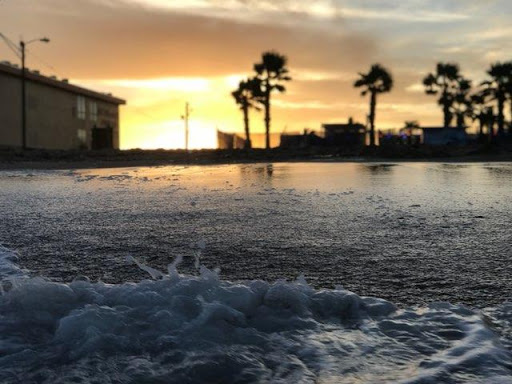 Gift Shop «North Beach Gift Shop», reviews and photos, 2901 Surfside Blvd, Corpus Christi, TX 78402, USA