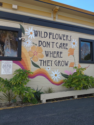 Shoe Store «Red Wing», reviews and photos, 916 Soquel Ave, Santa Cruz, CA 95062, USA