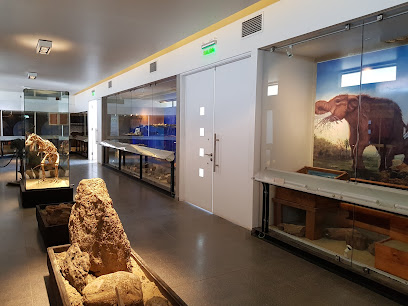 Museo de historia Natural e Histórico de San Antonio MUSA