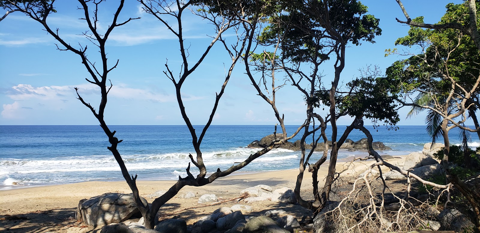 Foto di Llamas Emancipadoras zona selvaggia