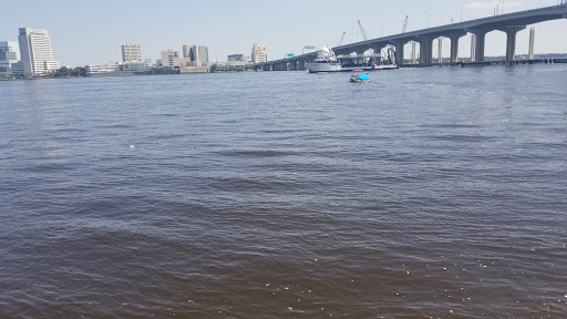 Arts Organization «Riverside Arts Market», reviews and photos, 715 Riverside Ave, Jacksonville, FL 32204, USA