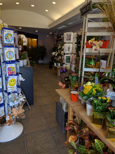 Florist «KaBloom», reviews and photos, 305 Harvard St, Brookline, MA 02446, USA