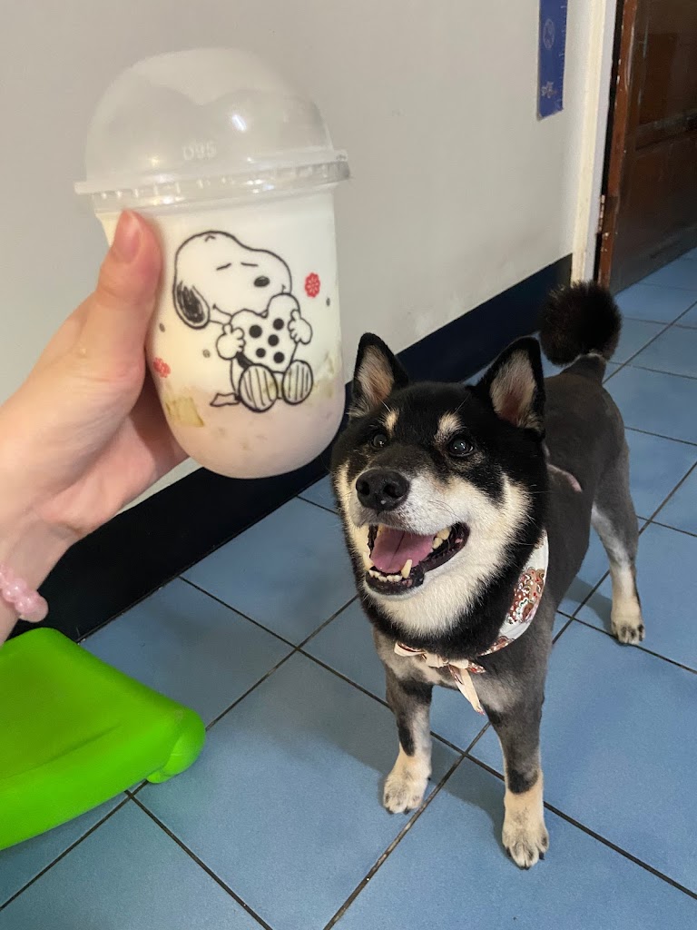 狀元坊商號-八德興豐店 的照片