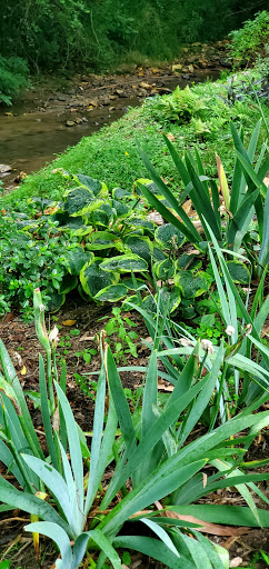 Event Venue «Sleepy Hollow Inn & Event Center», reviews and photos, 132 Old Jims Branch Rd, Swannanoa, NC 28778, USA