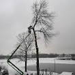 TAS Tree Pruning & Removal