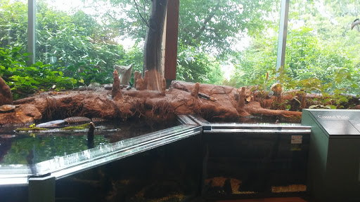 Natural History Museum «The Witt Stephens Jr. Central Arkansas Nature Center», reviews and photos, 602 President Clinton Ave, Little Rock, AR 72201, USA