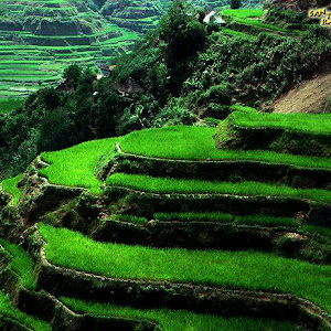 The Kangra Central Co-operative Bank Ltd. photo