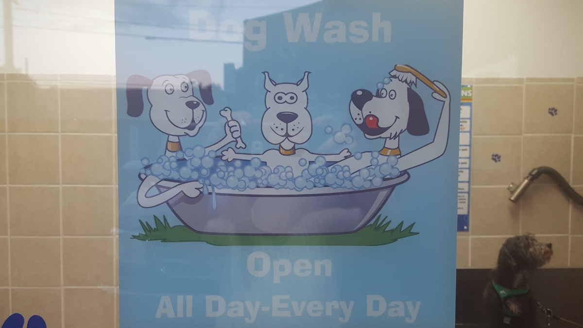Patriot Dog Wash