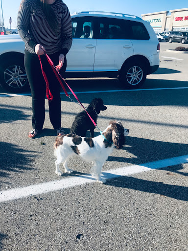 Pet Store «PetSmart», reviews and photos, 2211 Barrett Dr, Greenfield, IN 46140, USA