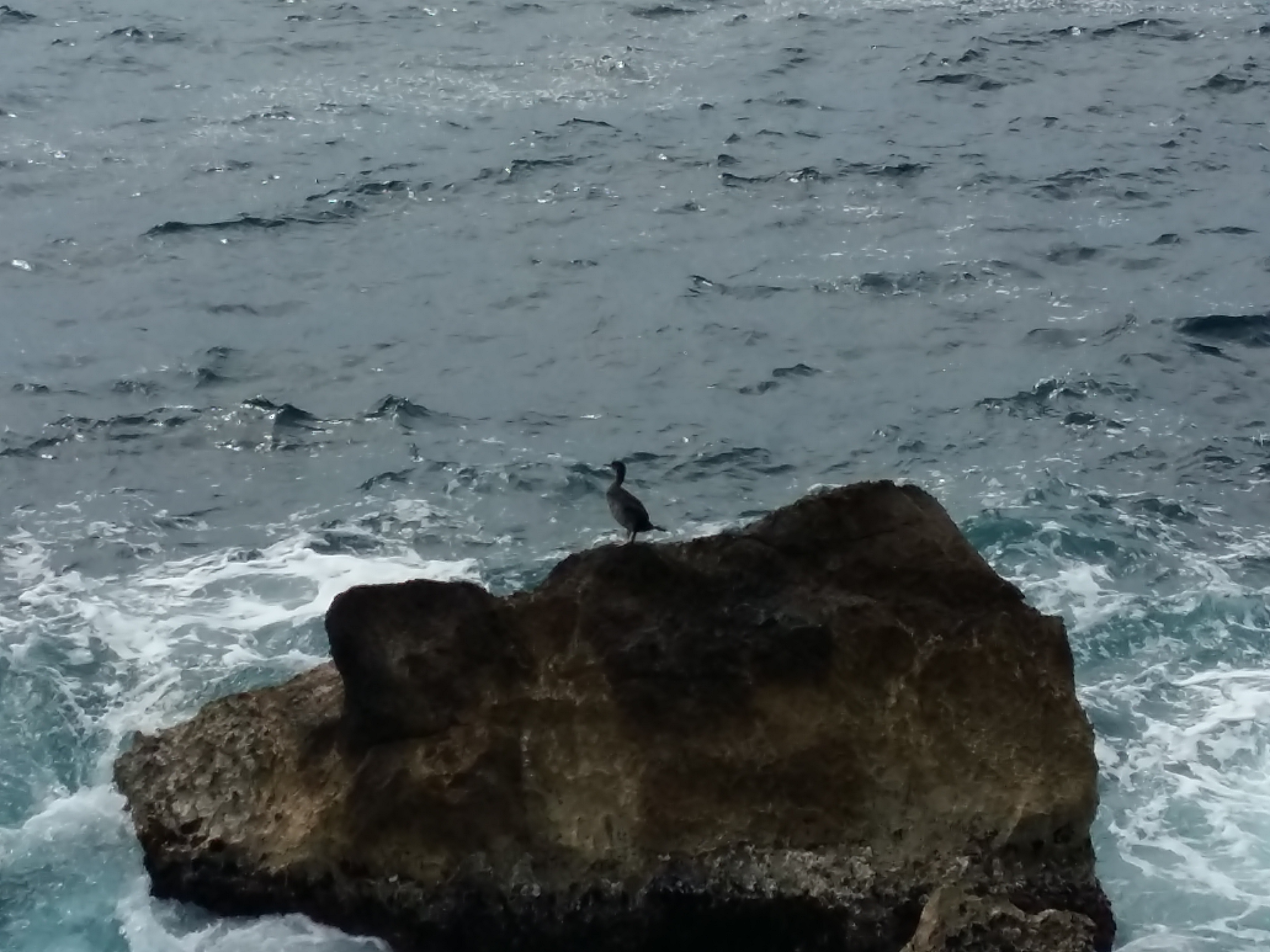 Photo n° 2 de l'avis de Betty. fait le 01/05/2018 à 14:29