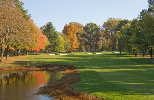 Golf Club «Garrisons Lake Golf Club», reviews and photos, 101 W Fairways Cir, Smyrna, DE 19977, USA