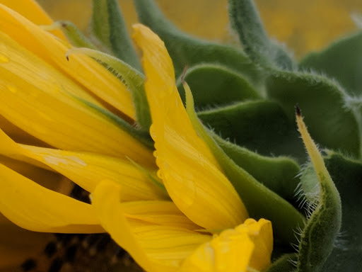 Park «Cottell Park», reviews and photos, 5847 Irwin Simpson Rd, Mason, OH 45040, USA