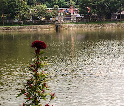 Kedai Kopi Sisi Situ Wanayasa photo