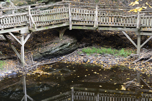 Pet Store «Abrams and Weakley General Store for Animals», reviews and photos, 3963 N 6th St, Harrisburg, PA 17110, USA