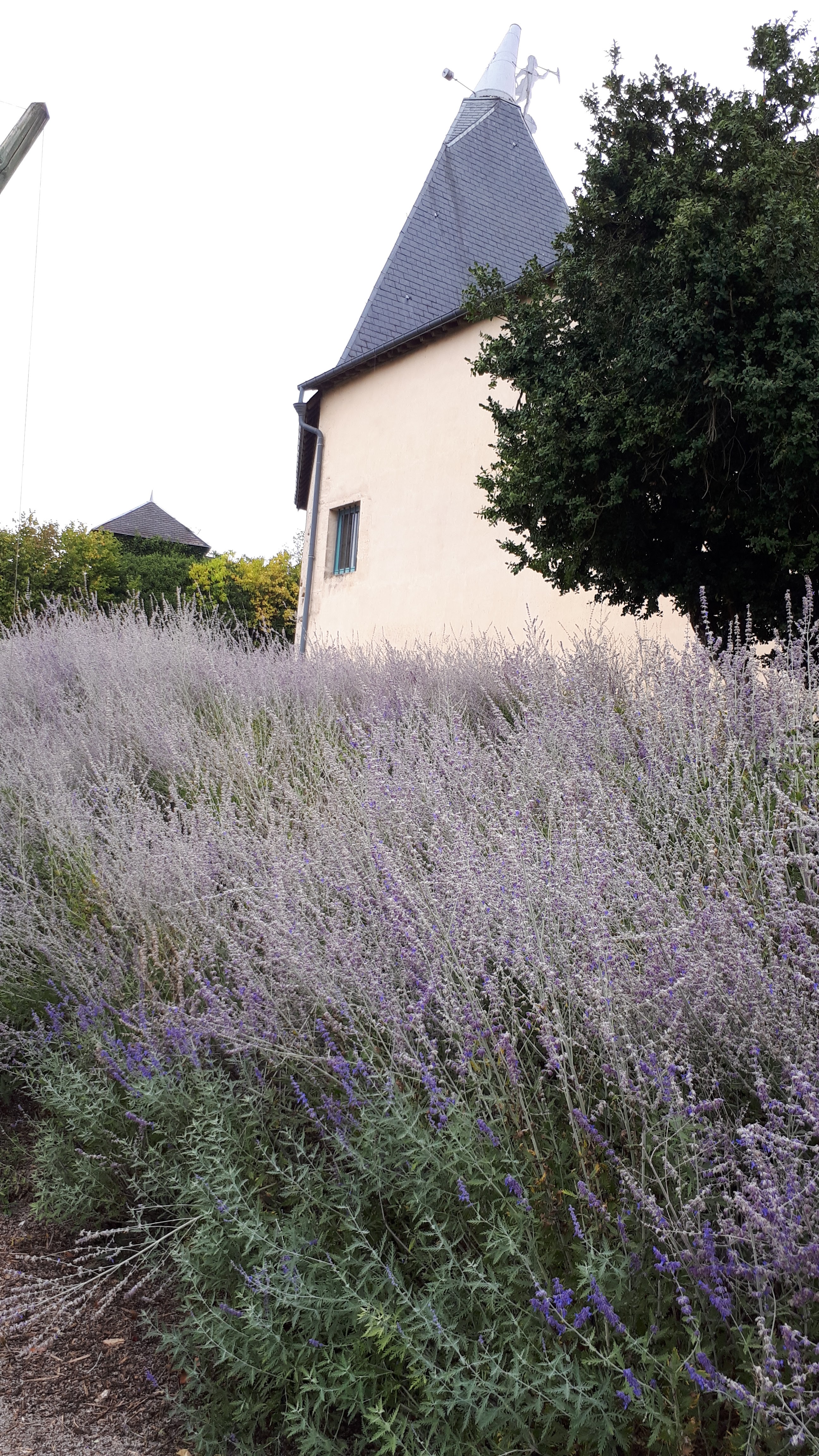 Photo n° 33 de l'avis de Guylaine.u fait le 22/09/2019 à 17:53