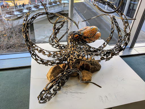 Convention Center «Boston Convention and Exhibition Center», reviews and photos, 415 Summer St, Boston, MA 02210, USA