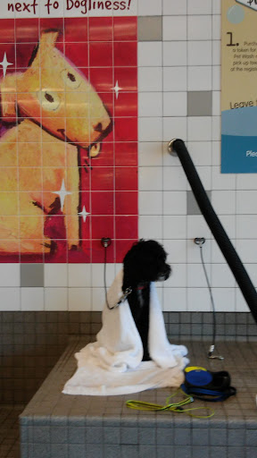 Pet Supply Store «Pet Food Express», reviews and photos, 3910 Middlefield Rd, Palo Alto, CA 94303, USA