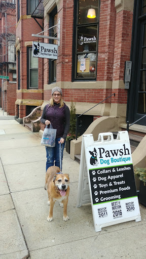 Pet Store «Pawsh Dog Boutique», reviews and photos, 31 Gloucester St, Boston, MA 02115, USA