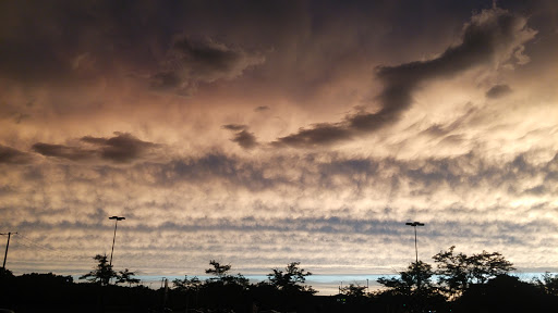 Discount Store «Kmart», reviews and photos, 3443 W Addison St, Chicago, IL 60618, USA