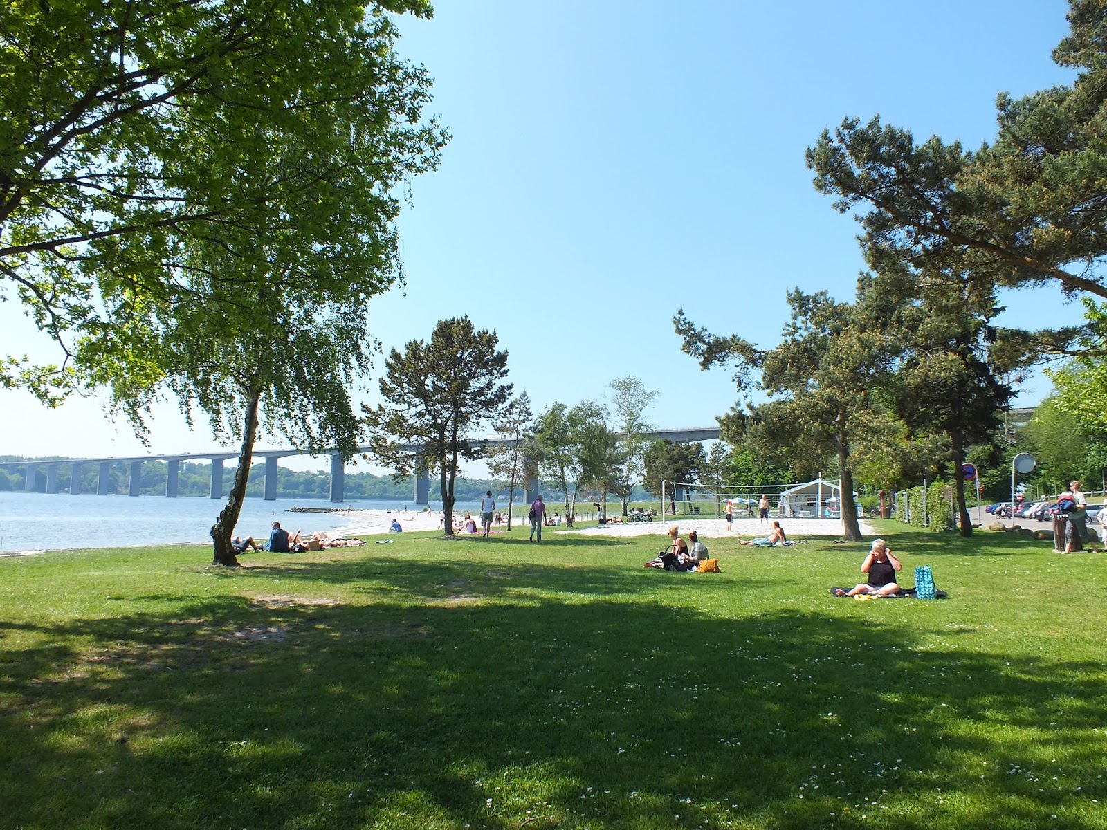 Albuen Beach'in fotoğrafı çok temiz temizlik seviyesi ile