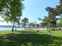 Albuen Beach'in fotoğrafı çok temiz temizlik seviyesi ile