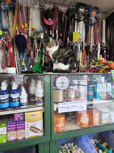 Pet Store «Cross Bronx Pet Shop», reviews and photos, 2064 Cross Bronx Expy, Bronx, NY 10472, USA