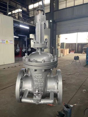 Stemat Jansen à Raismes