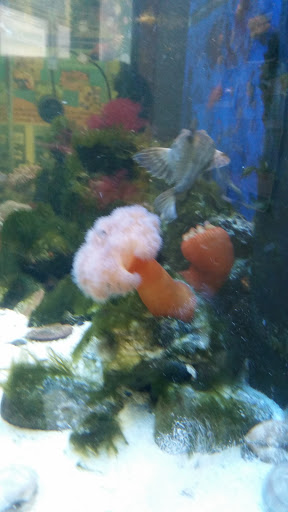 Tourist Attraction «South Sound Estuarium», reviews and photos, 309 State Ave NE, Olympia, WA 98501, USA