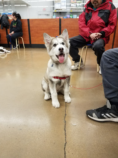 Pet Supply Store «PetSmart», reviews and photos, 160 Wadsworth Blvd, Lakewood, CO 80226, USA