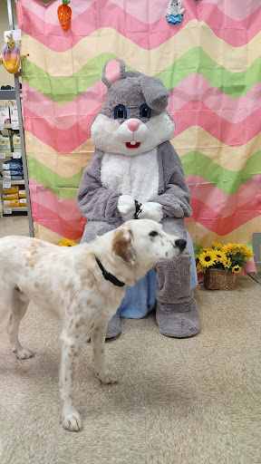 Pet Supply Store «PetSmart», reviews and photos, 8210 Macedonia Commons Blvd #10, Macedonia, OH 44056, USA