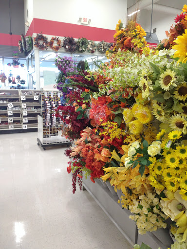 Craft Store «Michaels», reviews and photos, 310 Cbl Dr, St Augustine, FL 32086, USA