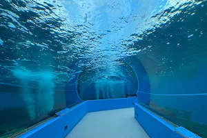 Notojima Aquarium image