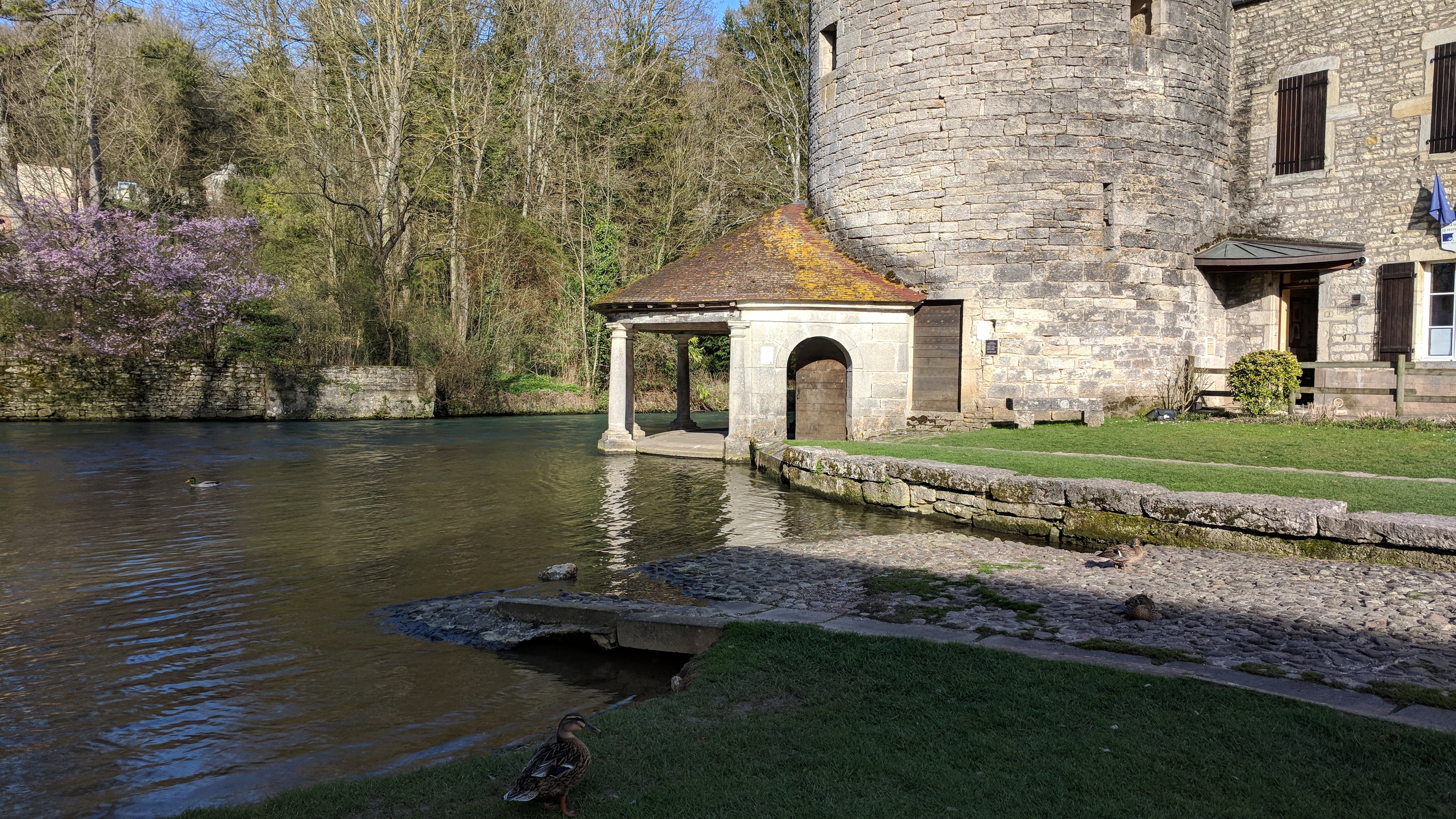 Photo n° 36 de l'avis de Christophe.O fait le 07/04/2018 à 14:30