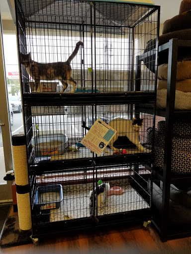 Pet Store «Pet Valu», reviews and photos, 378 Kelly Rd, Vernon, CT 06066, USA