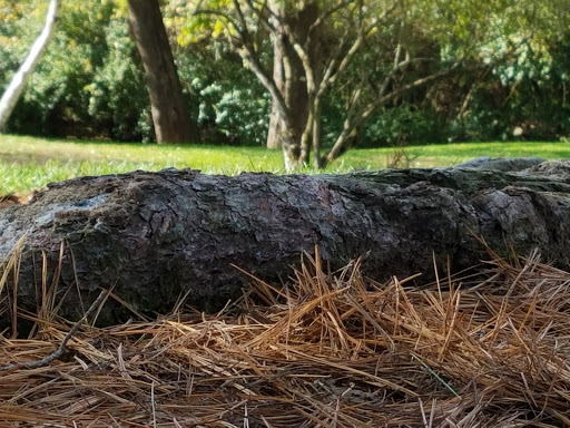 Country Club «Highland Golf Country Club», reviews and photos, 1050 52nd Street, Indianapolis, IN 46228, USA