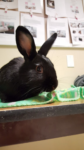 Pet Supply Store «Petco Animal Supplies», reviews and photos, 855 E Bidwell St, Folsom, CA 95630, USA