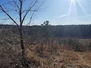 J. T. Nickel Family Nature and Wildlife Preserve - photo 96